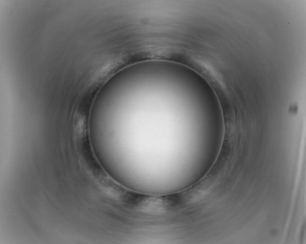 X0000091680123200709061112