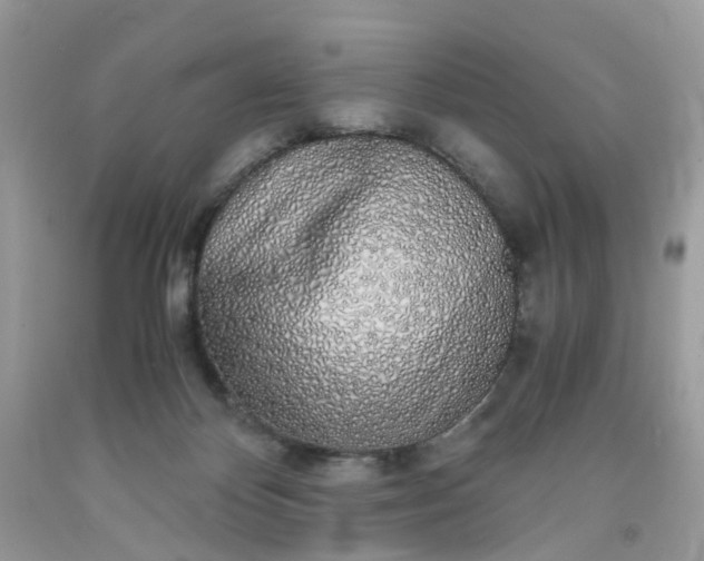 X0000091680124200709061112