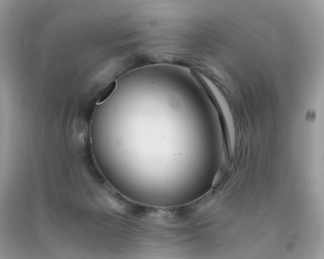 X0000091680125200709061112