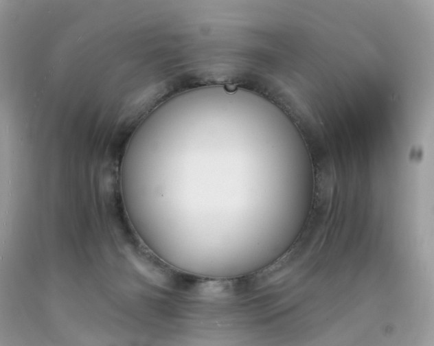 X0000091680126200709061112
