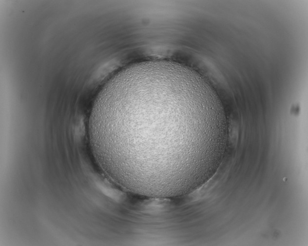 X0000091680128200709061112