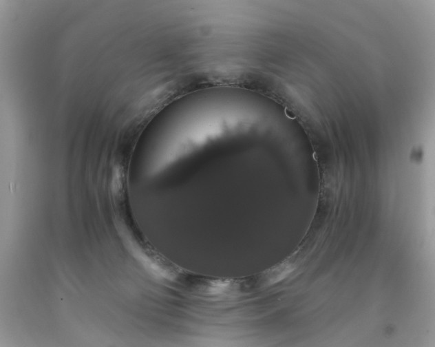 X0000091680130200709061112