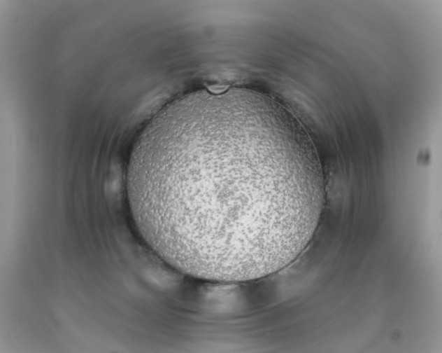 X0000091680132200709061112