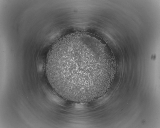 X0000091680134200709061112