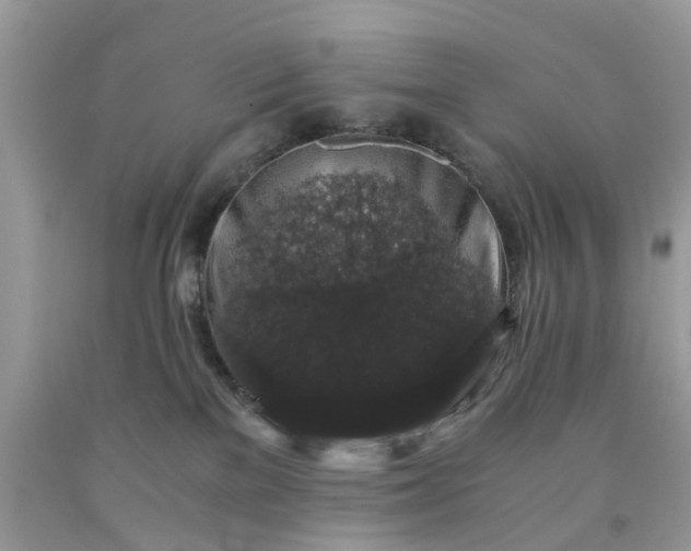 X0000091680137200709061112