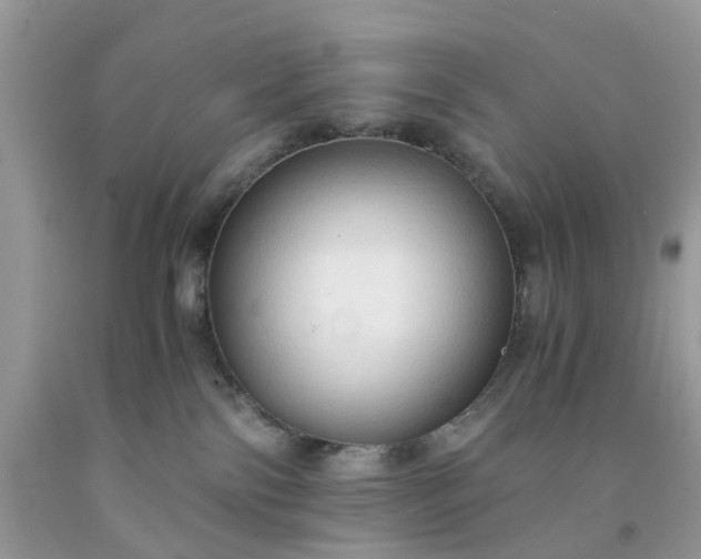 X0000091680138200709061112