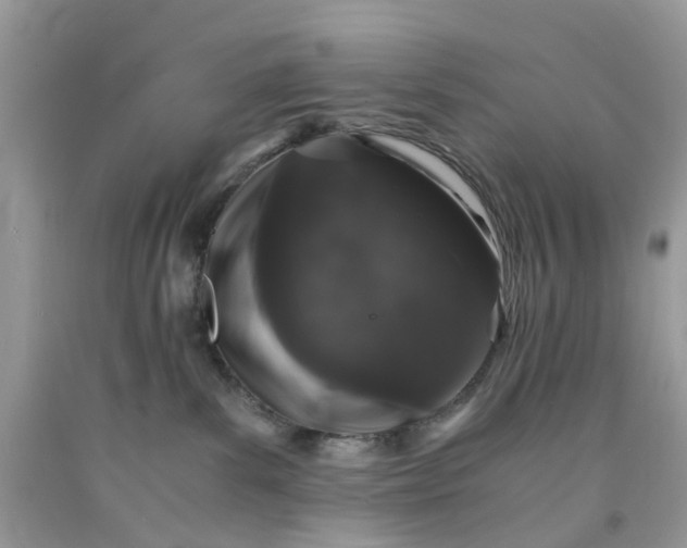 X0000091680139200709061112
