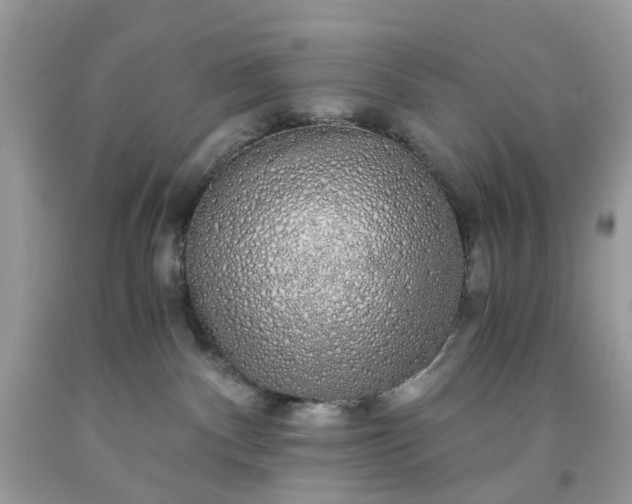 X0000091680140200709061112