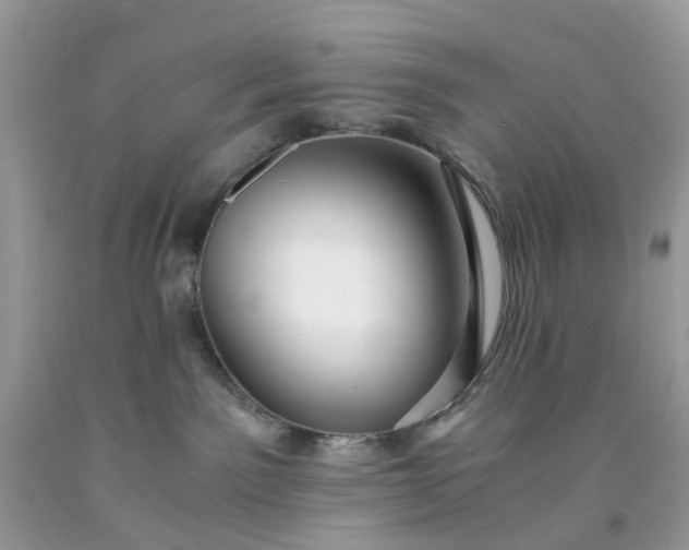 X0000091680141200709061112