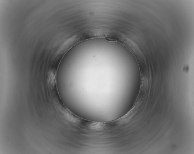 X0000091680142200709061112