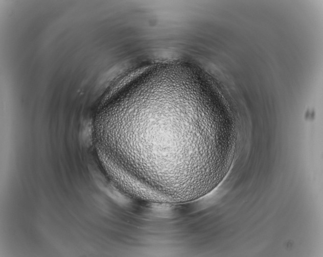 X0000091680144200709061112