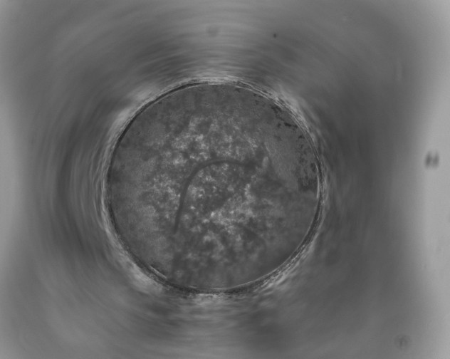 X0000091680145200709061111