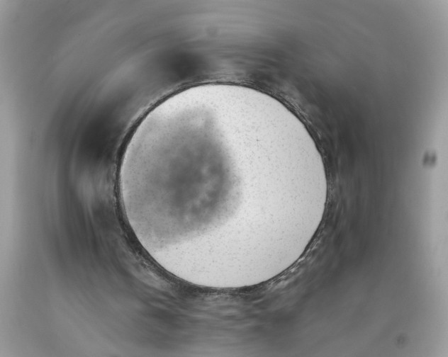 X0000091680146200709061111