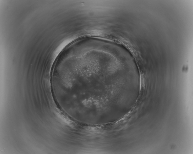 X0000091680147200709061111