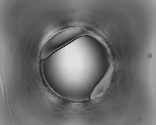 X0000091680150200709061111