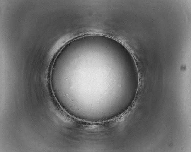 X0000091680151200709061111