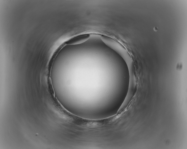 X0000091680152200709061111