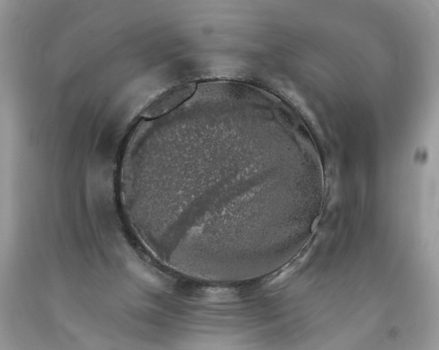 X0000091680154200709061111