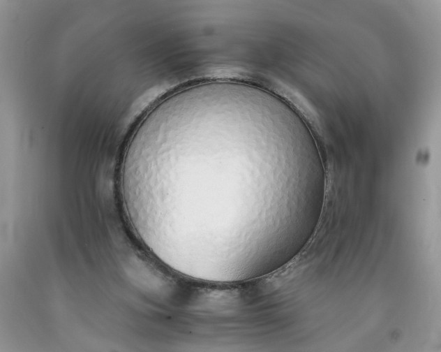 X0000091680155200709061111