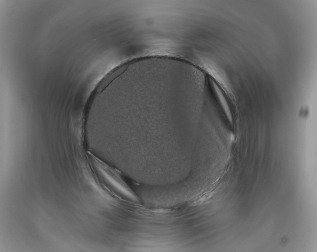 X0000091680156200709061111