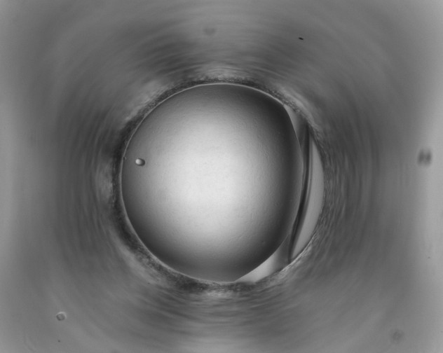X0000091680158200709061111