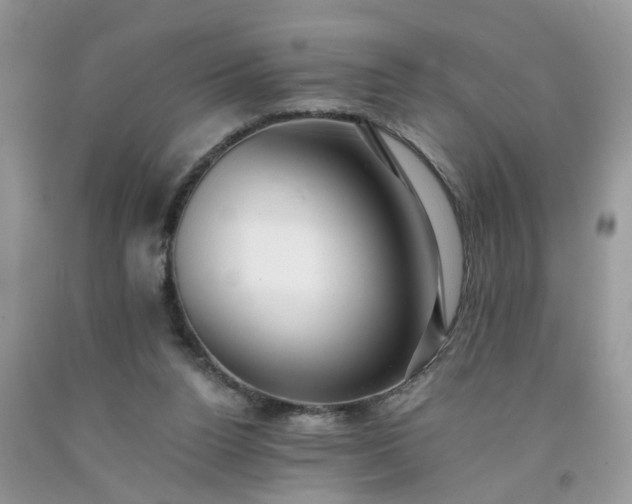 X0000091680160200709061111