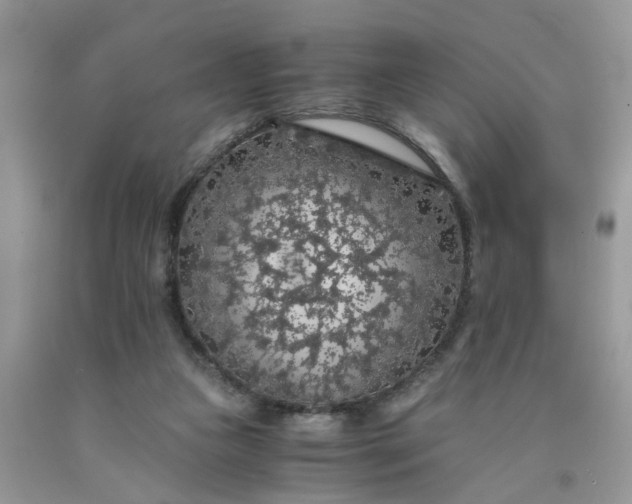 X0000091680161200709061111