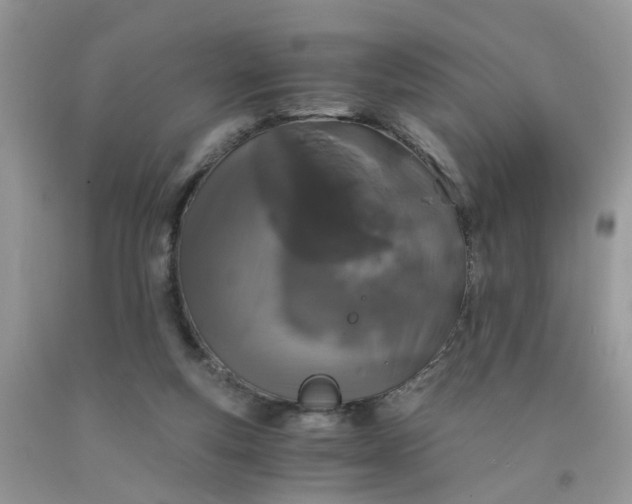 X0000091680163200709061111