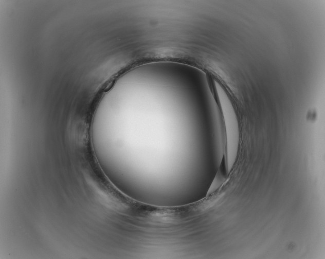 X0000091680164200709061112