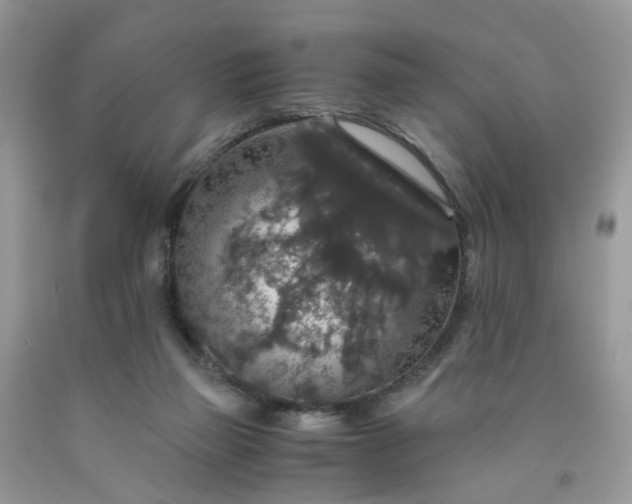 X0000091680165200709061112