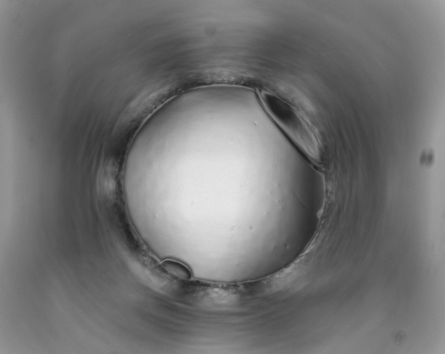 X0000091680166200709061112