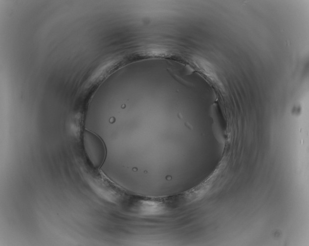 X0000091680167200709061112
