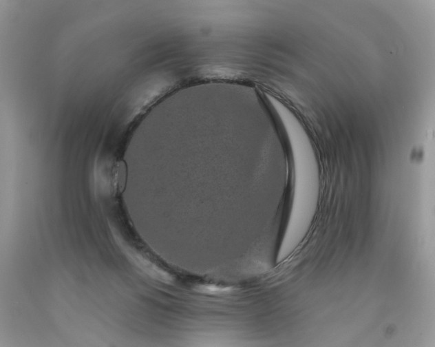X0000091680168200709061112