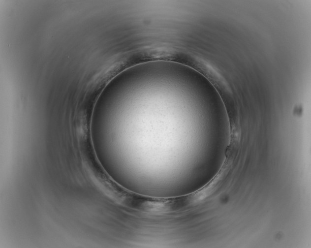 X0000091680170200709061112