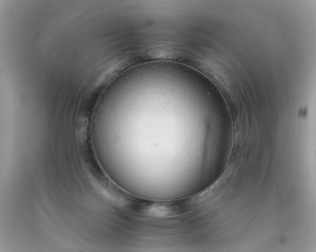 X0000091680171200709061112