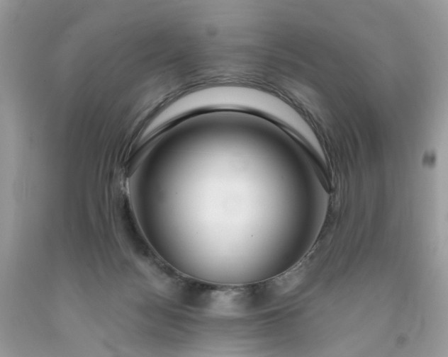 X0000091680172200709061112