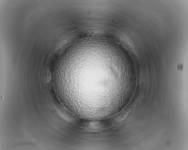 X0000091680173200709061112