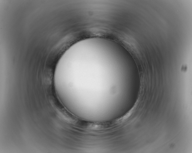 X0000091680174200709061112