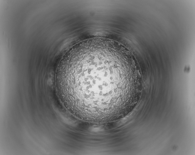 X0000091680175200709061112