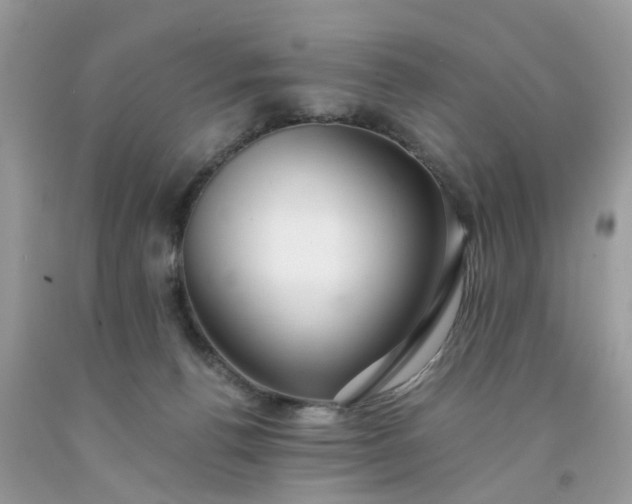 X0000091680176200709061112
