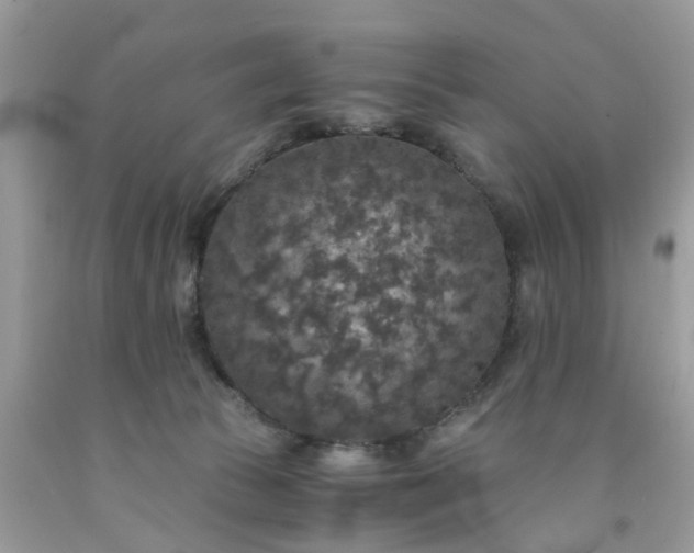 X0000091680177200709061112