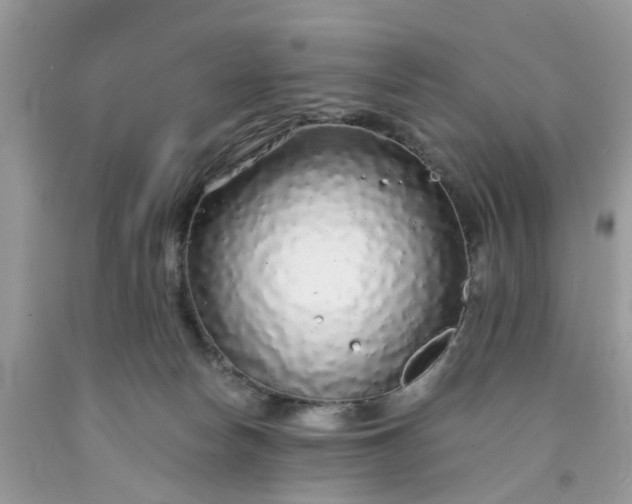 X0000091680178200709061112
