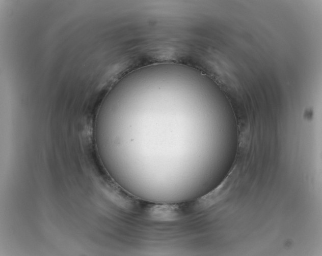X0000091680179200709061112