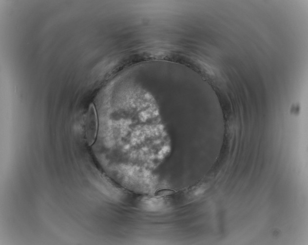 X0000091680181200709061112