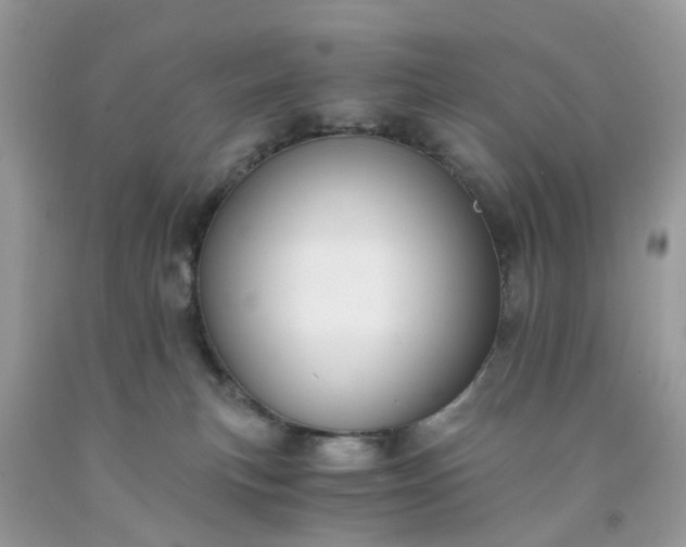 X0000091680183200709061112
