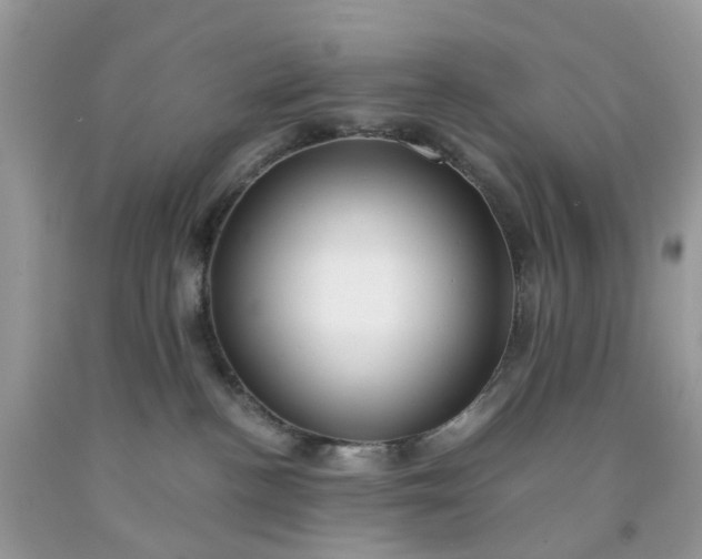 X0000091680188200709061112