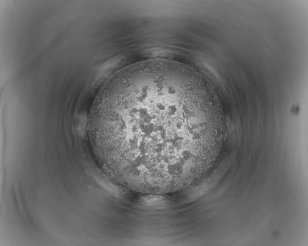 X0000091680189200709061112