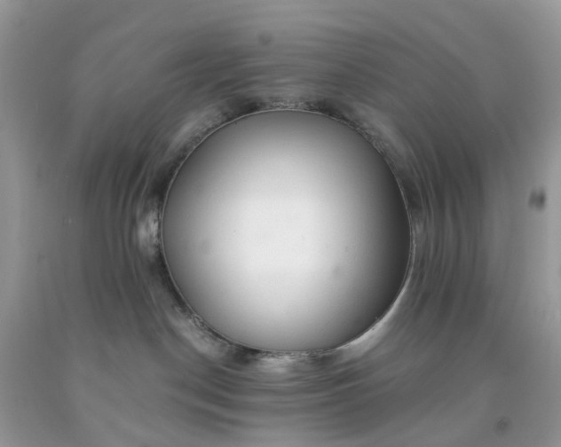 X0000091680190200709061112