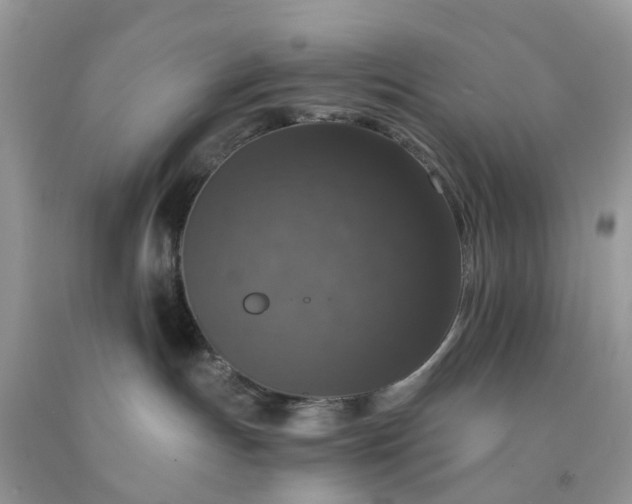 X0000091680191200709061112