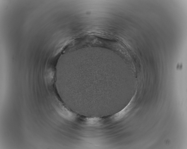 X0000091680192200709061112